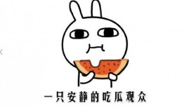 在线吃瓜的意思