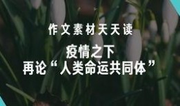 社会热点话题事件素材,XX事件背后的深思与启示